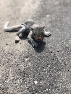 inscription 1432a46d02a509ae193c0e8608af64ec6df4803ac408f7d2270230d8d2c1416di0