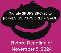 inscription 23b110d0cf8c188bf593dccdc5d736737f6e00fc7b034e7d5cb006e794187024i267