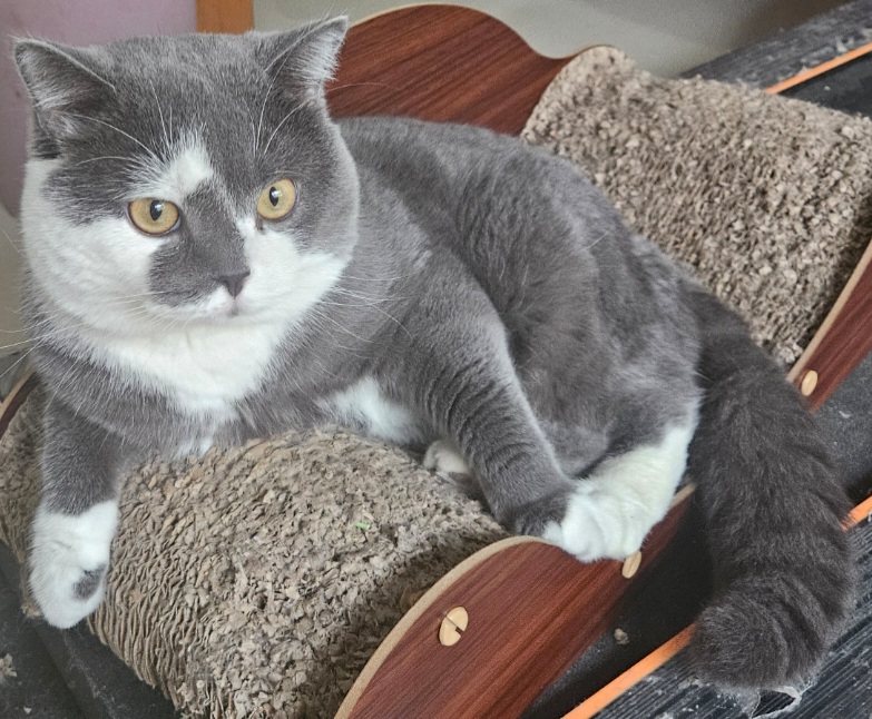 inscription 3cd5983ed573ce0ab15eb66a1078e0c2305c6be6ec5bdb91046d2cc06a0e4286i0