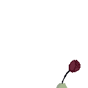 inscription 44d5e61fd080a230c3e7a5a684cb400d9cb0281653fec029b41a561ce3e94e1fi98