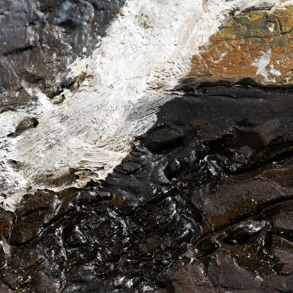 inscription 4a2eae312e22eda3229a98e9b28f87c4bc70f7c16840d2cc7928bf768c8bbc42i0