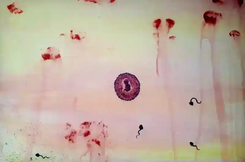 inscription 500059377cd41effed7e05081a92ceb699a517b2ef5e5de1cf39cff5f737b84ei4