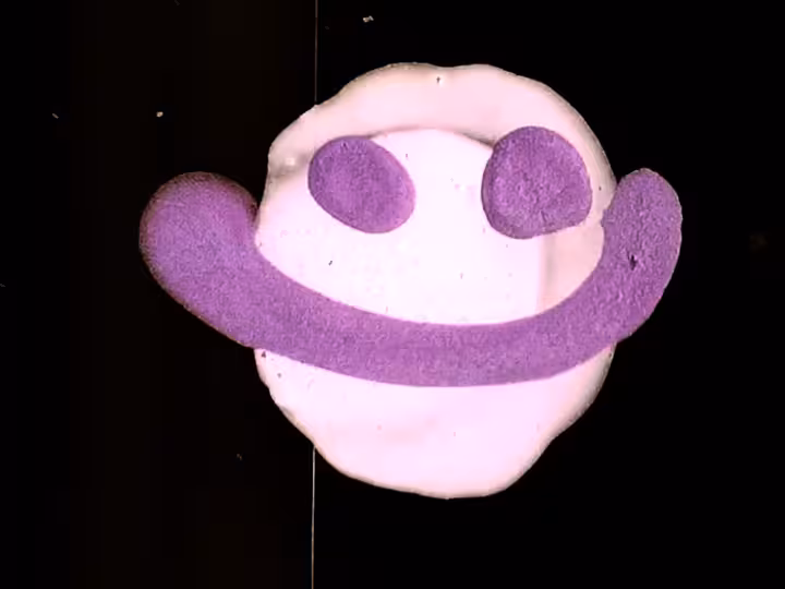 inscription 547fa32ad1c13d91bbbe4f4d6b3286912e2506db251d21ae63085cdcdd655692i20