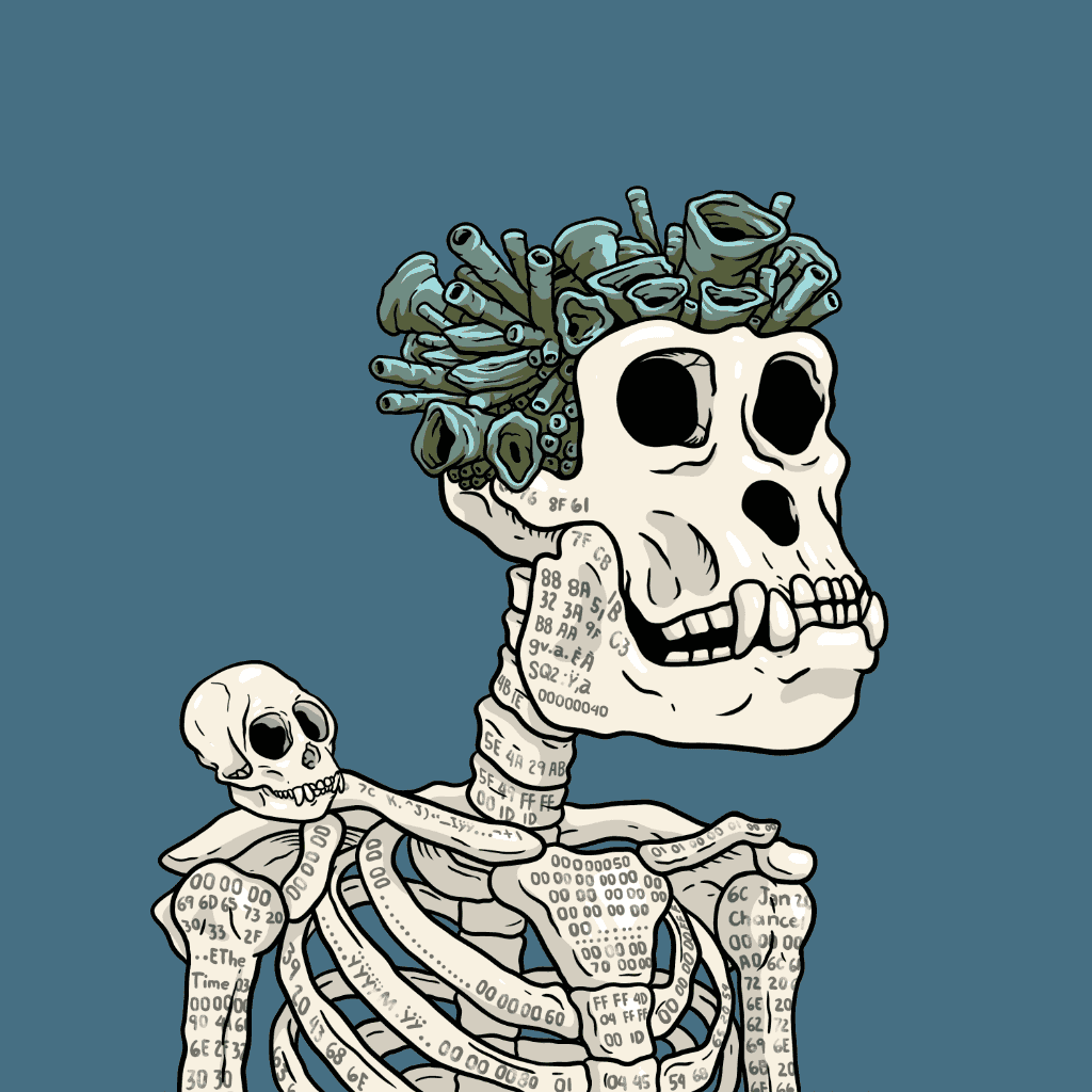 inscription 620464e79a3000dc0a0dfdfc2ad6ccd4637b6cb0a45640fc2d5690c4010336b1i0