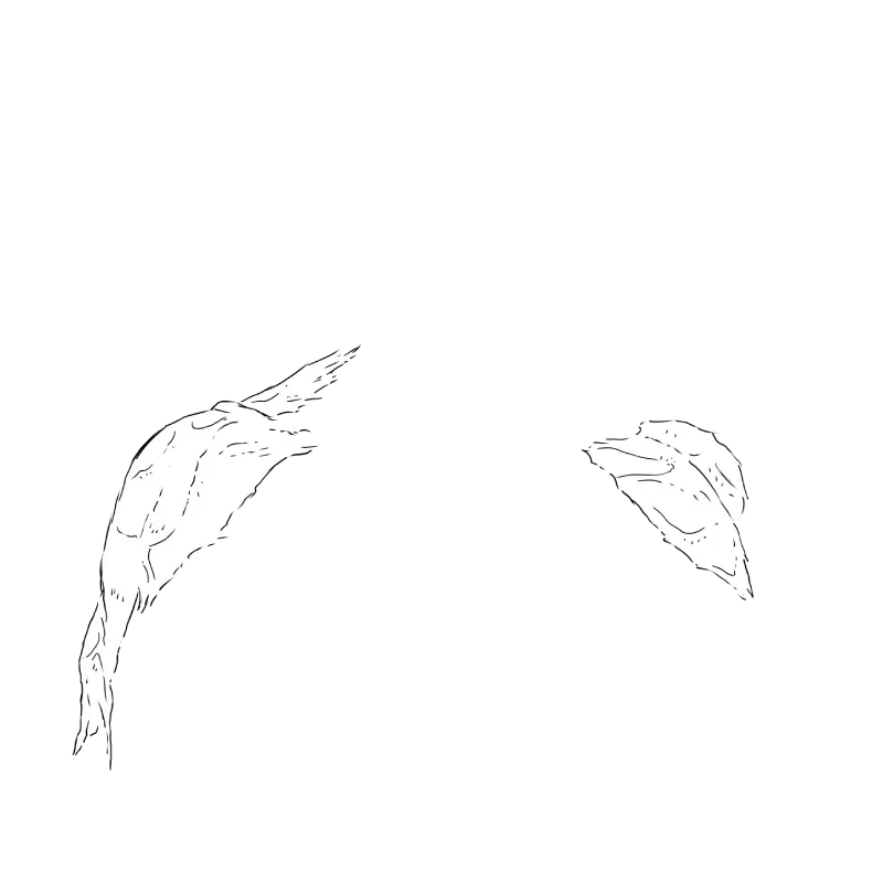 inscription 63dcfaf1783cedfa457ef42a80f03c1c9dc687e100772b994c1a6dd1072313bbi2