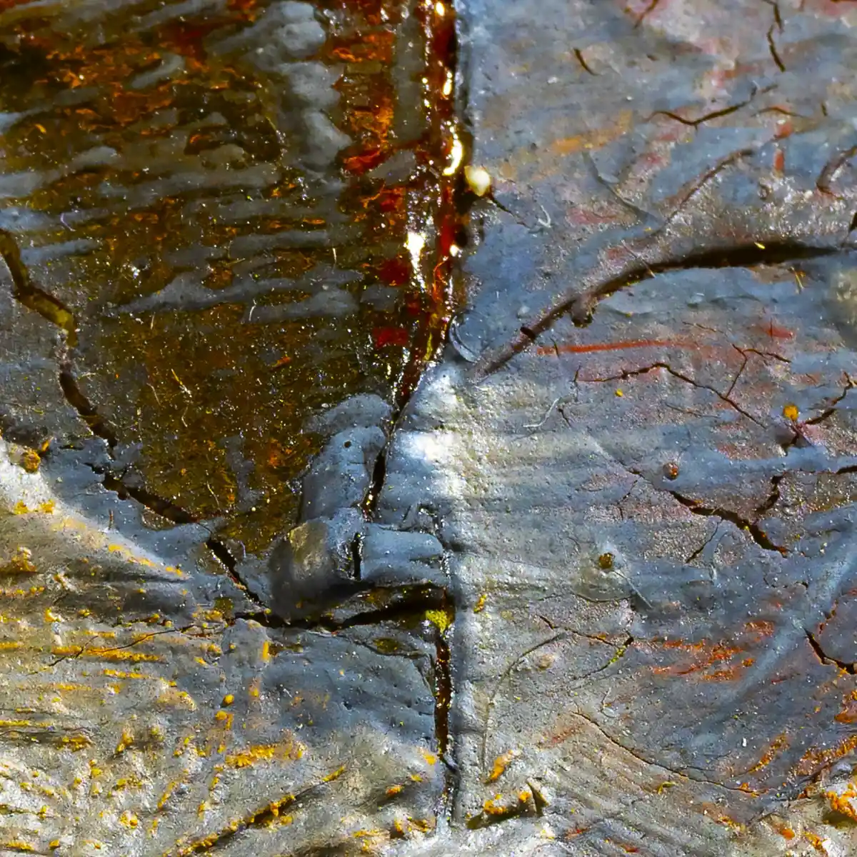 inscription 6b71ecd607a1051a9b5f6f705d5af8fb6dad922227775074475dadbfaa5b7341i1