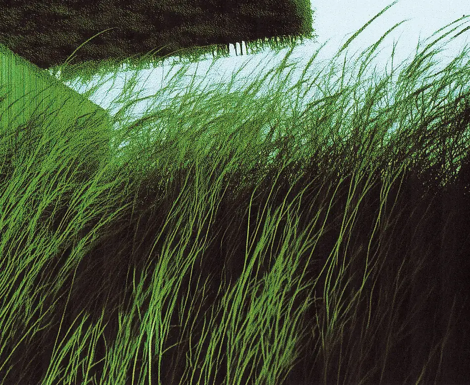 inscription 6dc1724b3e95cd6e5a33cbe6c56826ad68409905bcf6aadc3704604686b71d86i0