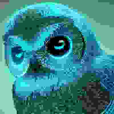 inscription 762b9657060e0ca6edcd344f3e5238d8f6c62937625b7b48561817ab3d843f39i0