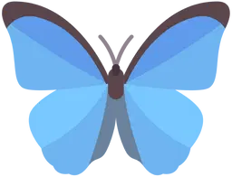 inscription 7925e26cf37dcb5b57eb47093932d116bc3f5b88ac43d069175ca9f80fa3f07di0