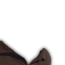 inscription 878330ef63b1f96bbaabc171952c4b5b53198d5d3521e1b3f543ef7f710381a8i23