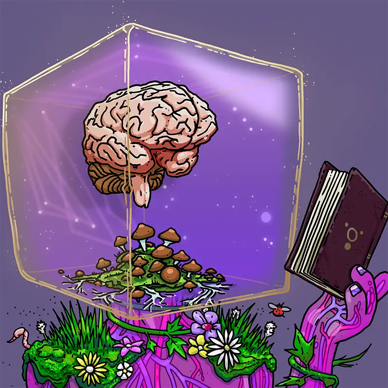 inscription 8be2d71bcd023f0b75213d75c4fe1cc9333157bdd70c3a5a91f5197164b9ff0fi3