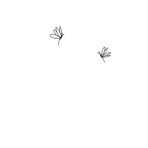 inscription a8f587c351fe8402862c0093b8fc7a2186d7c3ed9ea5d7e4084f17fa019728eei12