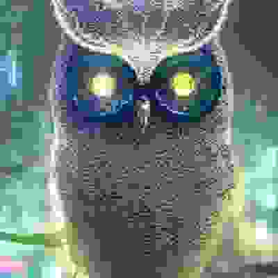 inscription aa024698c90d27c8da1e91bb1861f69c1794d1f13a4ef21ab970026f06d94cd5i0