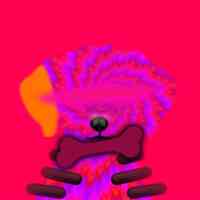 inscription b413419b711ac6bedb761e7542d00204aacd180578e4b3103bfb62e7197e48d8i0