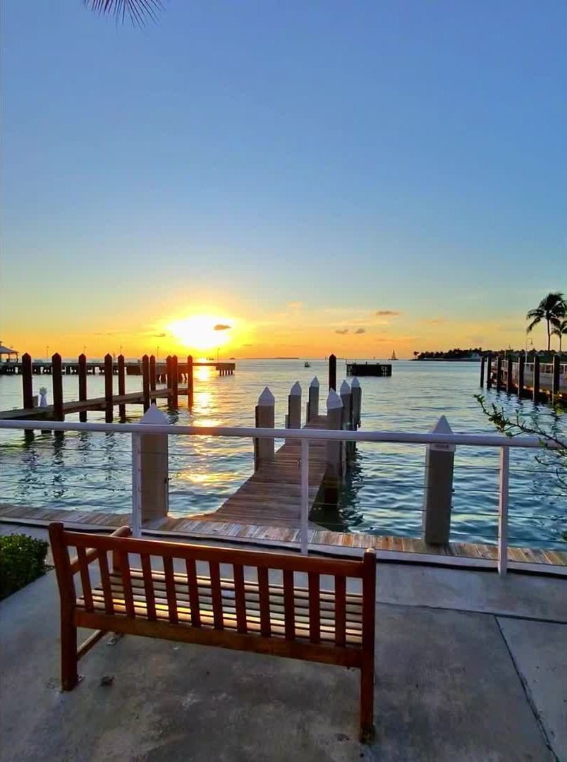 inscription c089de2877a408f8c6a98f8ac57a6e7b4a357d461ec199e9faded343f6df1286i0