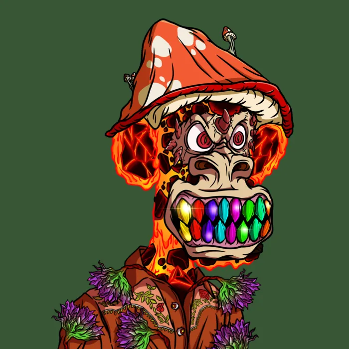 inscription c8b982bfc5c3e918068ba8c190a3d09fa9ea6e6961cfaa873156fd6d0055ec7di0