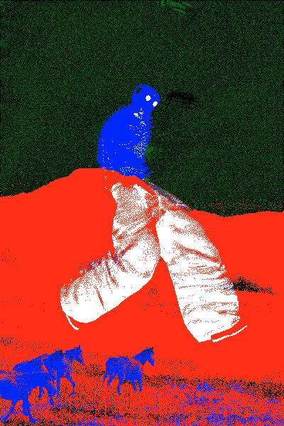 inscription d617b9ccb366462f99f98ff5dfc367f329eae95039dd06b990c1b5d1aa9211cci0