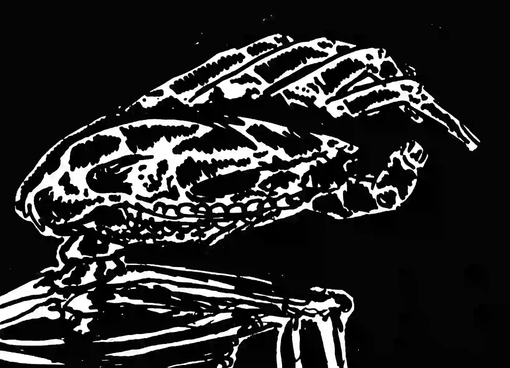 inscription fdd65816776aff788d12eafc84fe6e8ee19c395b09c4938be6ddfee81c8d0328i7